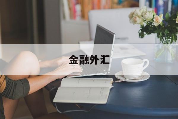 金融外汇(金融外汇公司)