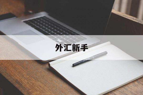 外汇新手(外汇新手入门的技巧)