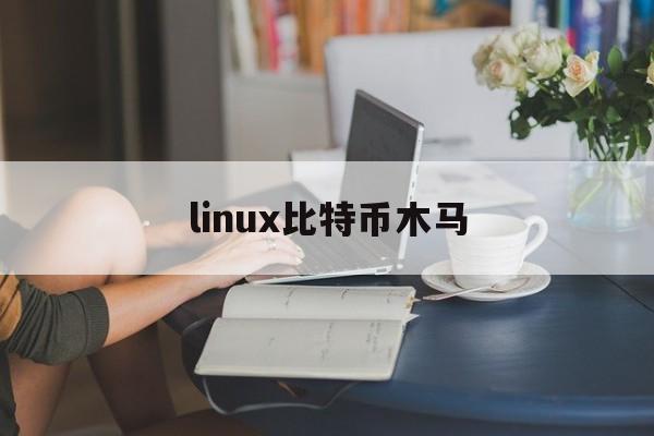 linux比特币木马(linux比特币挖矿教程)